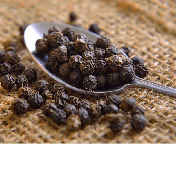 Black Pepper Oleoresin