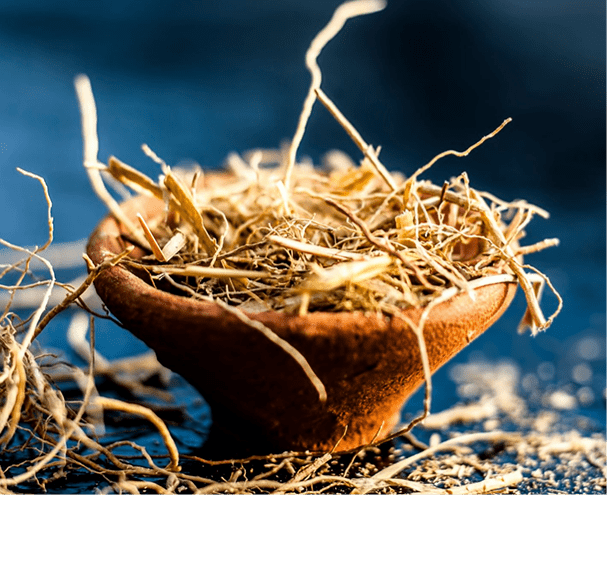 Vetiver Oil