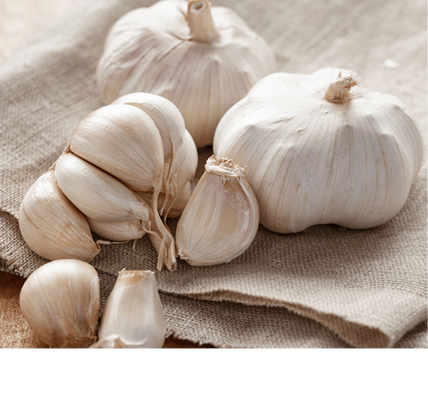 Garlic Oleoresin