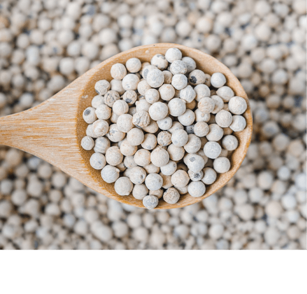 White Pepper Oleoresin