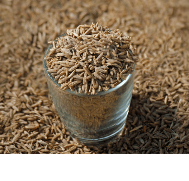 Cumin Oleoresin