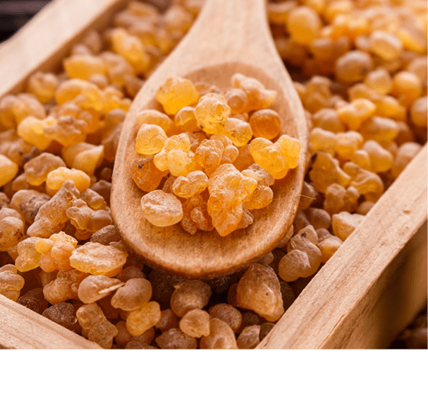 Olibanum Oil/Boswellia Serrata Oil