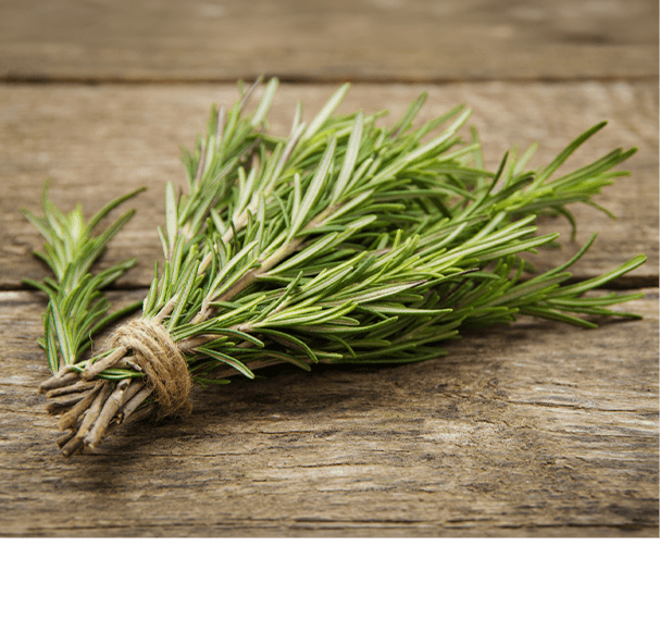 Rosemary Oleoresin