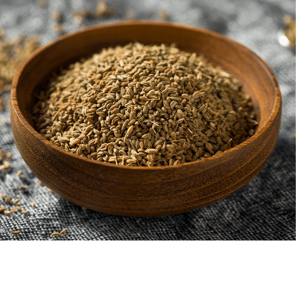 Ajwain Oil