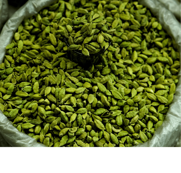 Cardamom Oil
