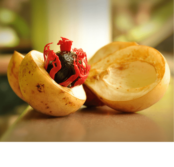Nutmeg Oleoresin