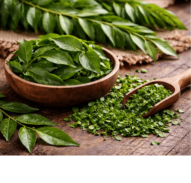 Curry Leaf Oil