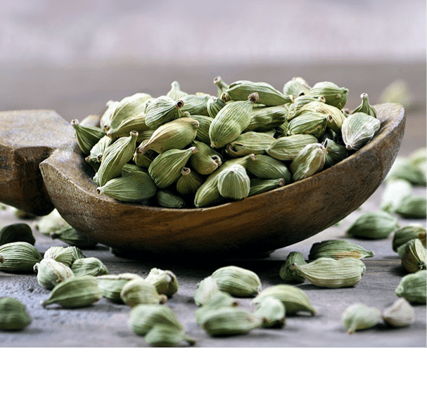 Cardamom Oleoresin