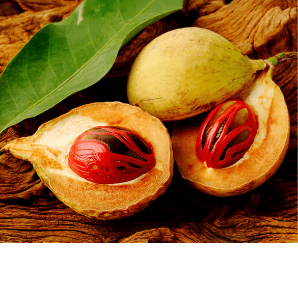 Nutmeg Oil