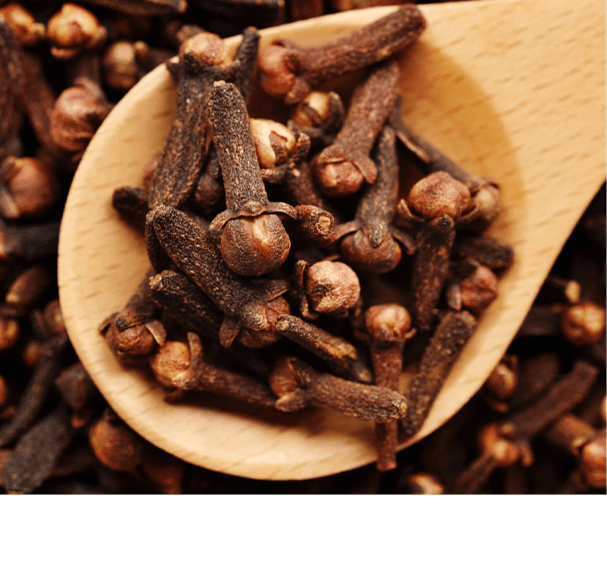 Clove Bud Oil