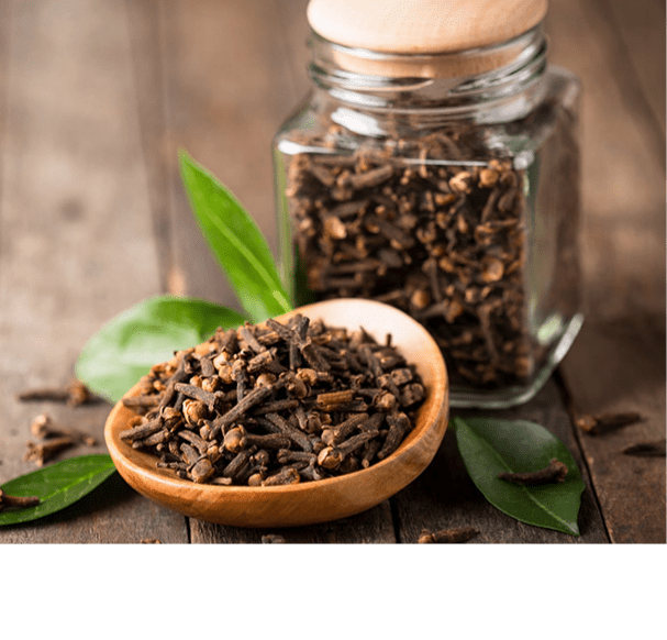 Clove Bud Oleoresin