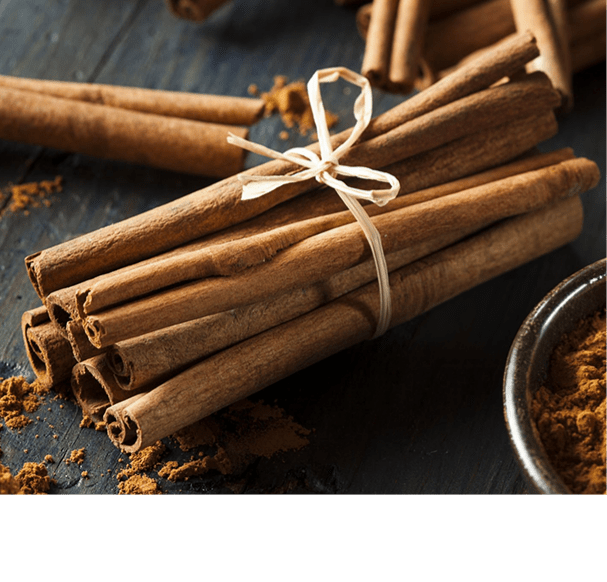 Cinnamon Bark Oil