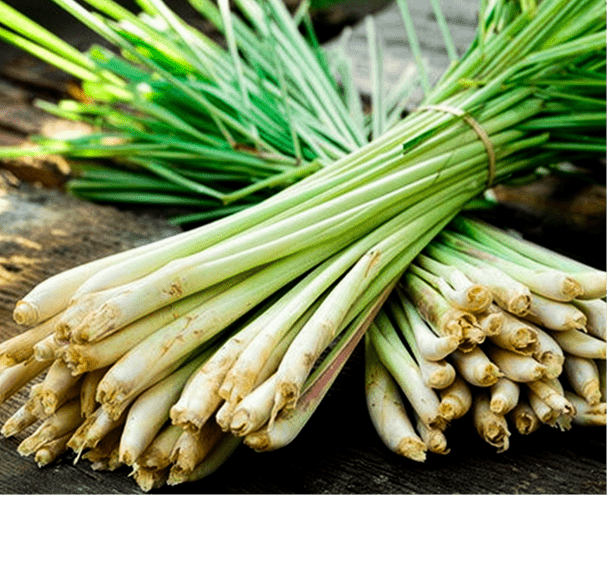 Lemongrass Oil